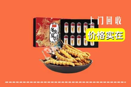 内乡县回收冬虫夏草